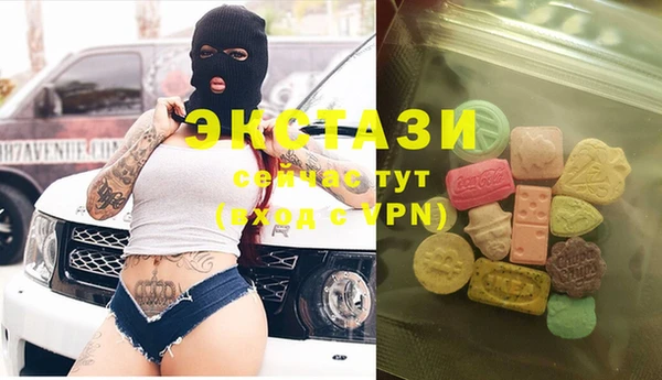 индика Горно-Алтайск
