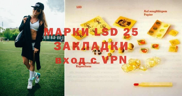 прущая мука Горняк